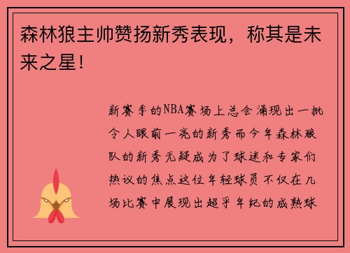 森林狼主帅赞扬新秀表现，称其是未来之星！